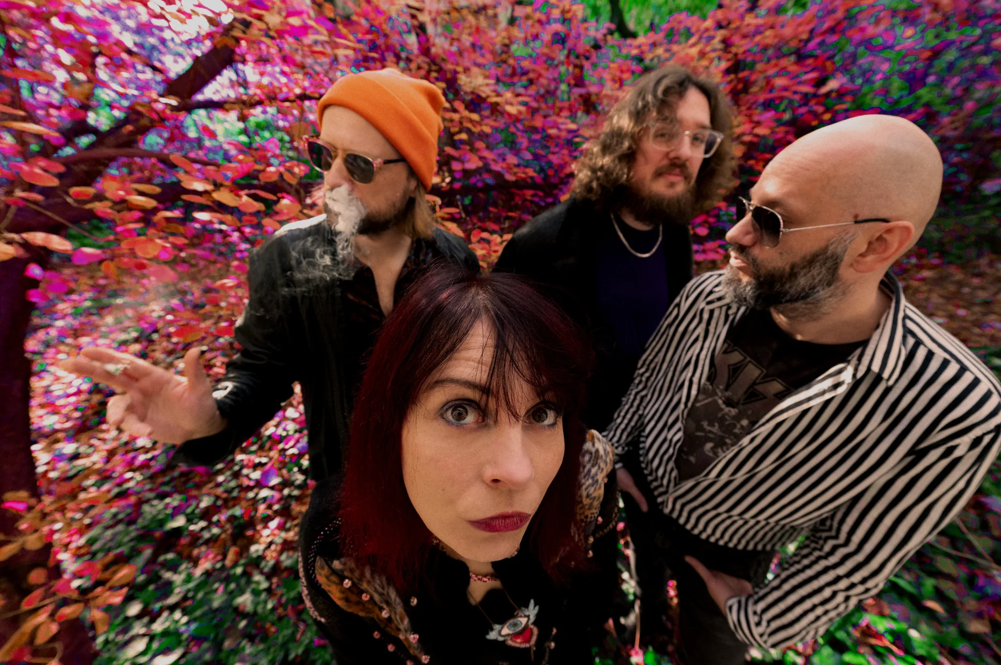 Izzy and the Black Trees in the forest