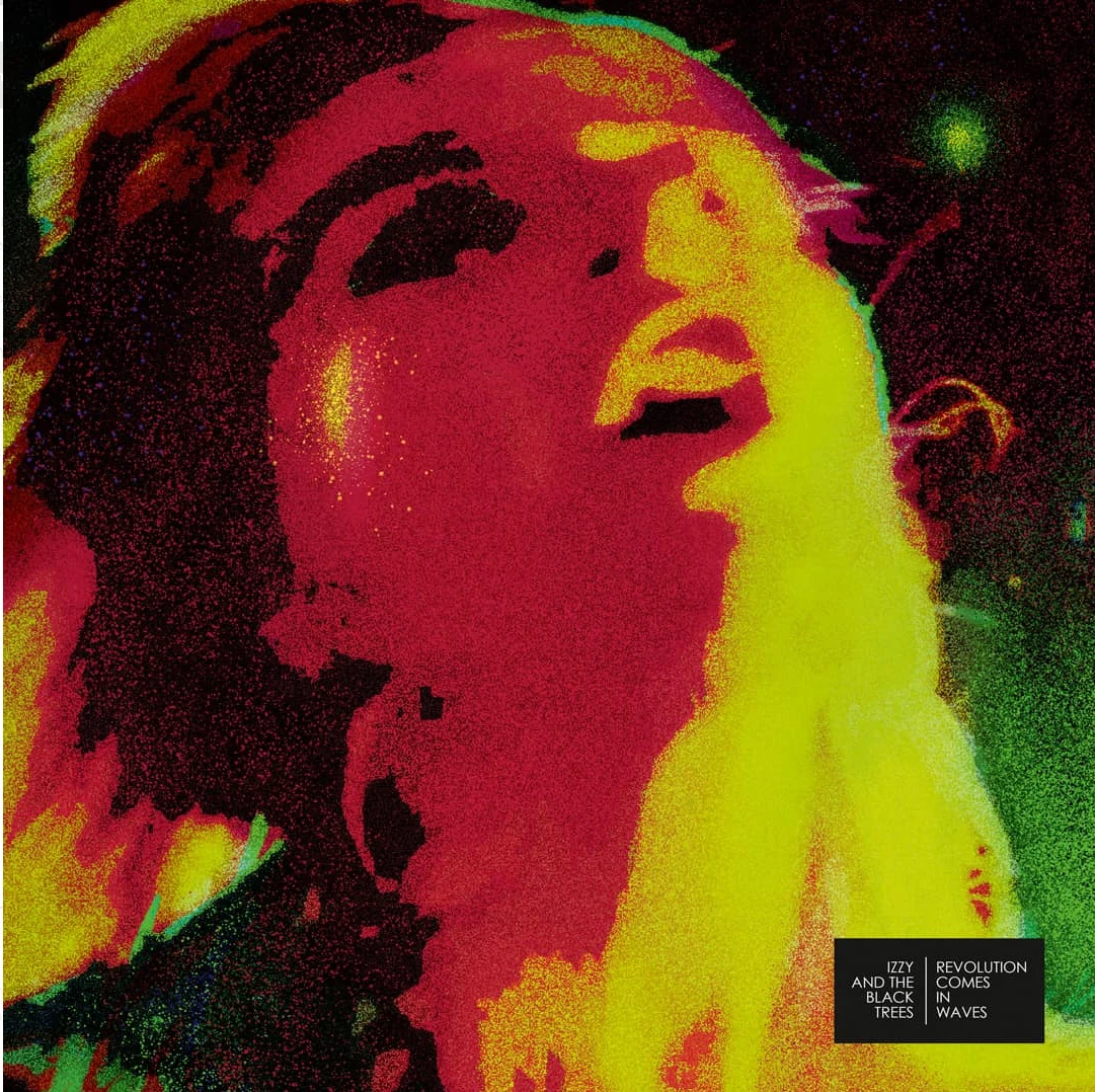 Revolution Comes in Waves — album cover